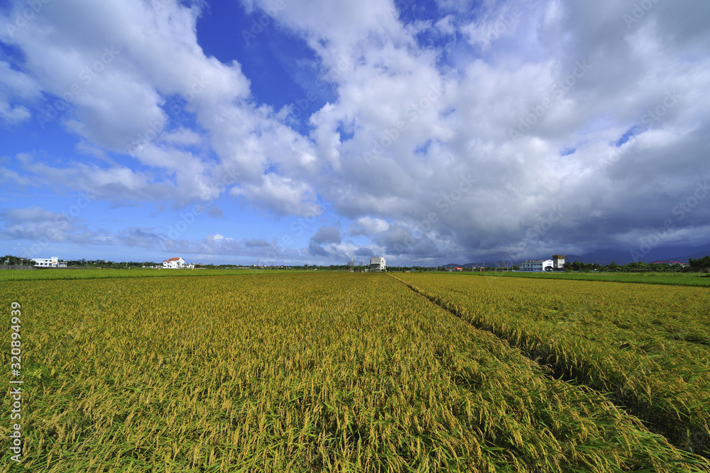 Scenic shot of Lanyang plain Scenic shot of Lanyang plain