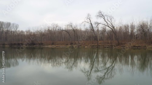 Wallpaper Mural Beautiful scenic 4k video of the river with forest in the background. Torontodigital.ca