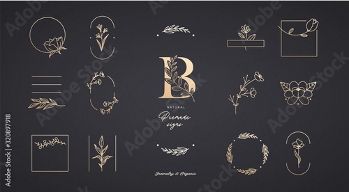 Set of minimalistic elegant geometric floral elements. Premade decorative fashion labels, signs