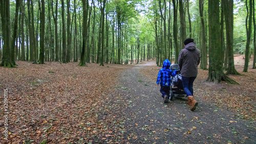 person walking in the wood