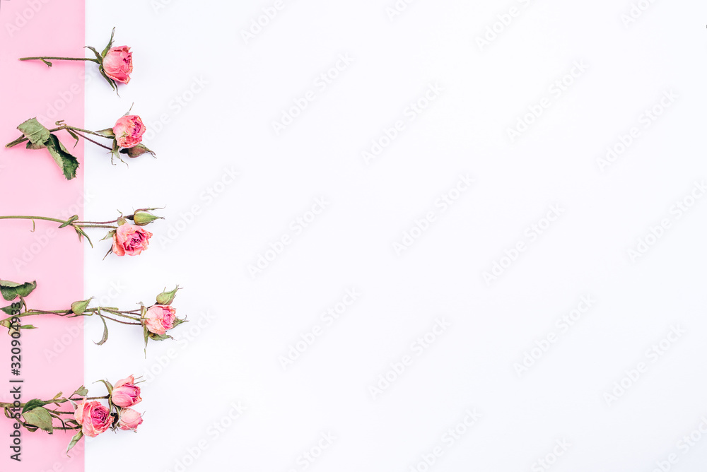 Frame of dried rose flowers on white and pink background.