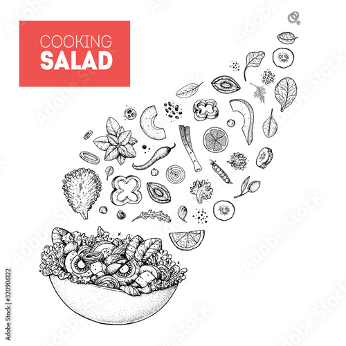 Salad sketch. Food illustration. Cooking salad design. Food menu elements. Hand drawn. Flying salad concept. Vector illustration on white background. Healthy and organic food. Vegan menu.