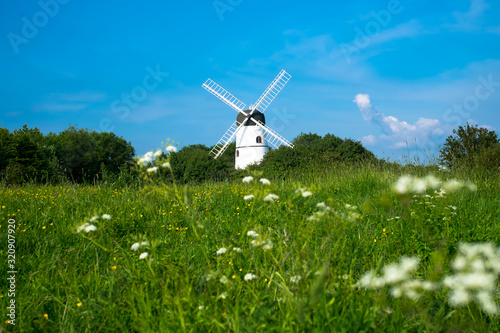 A white Windmill in a beautiful landscpe summertime with green grass and white flowers and bly sky. Like a storybook beauty with no people. Outside Brighton, England..