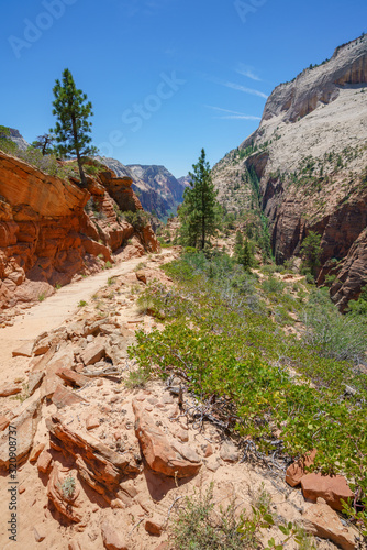 hiking west rim trail in zion national park, usa