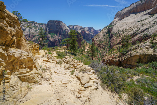 hiking west rim trail in zion national park  usa