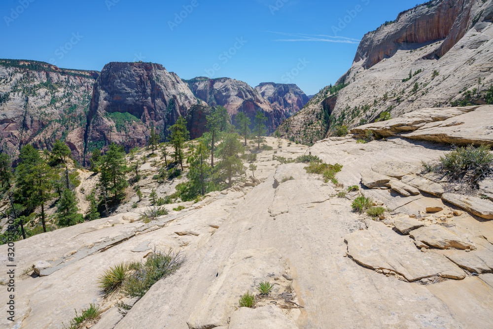hiking west rim trail in zion national park, usa hiking west rim trail in zion national park, usa