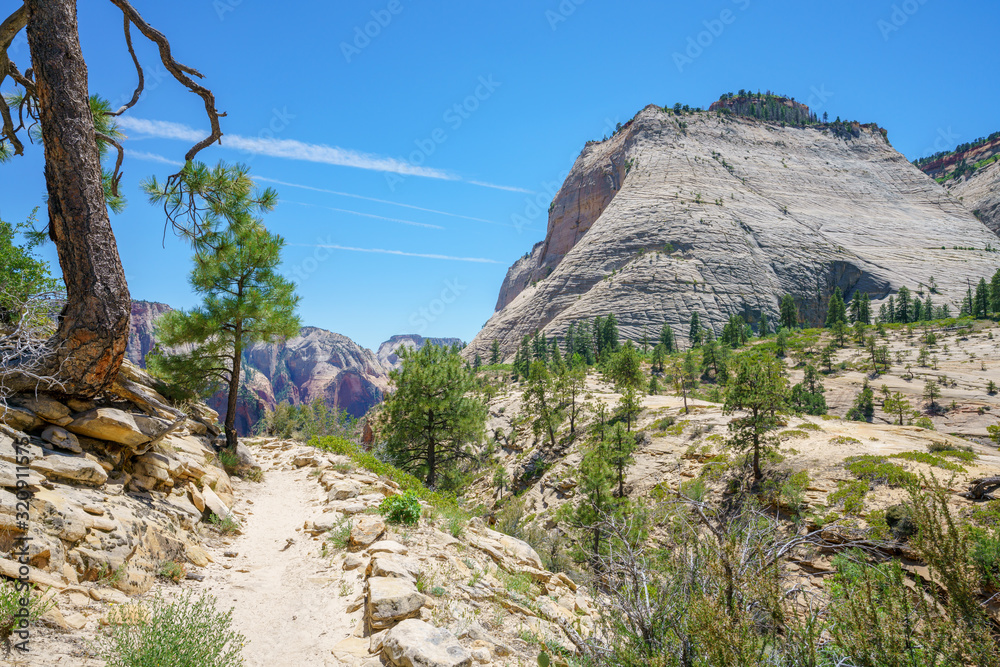 hiking west rim trail in zion national park, usa hiking west rim trail in zion national park, usa