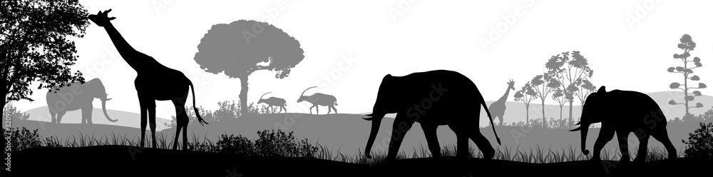 African safari animal silhouette landscape scene Stock Vector | Adobe Stock