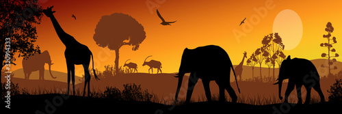 African safari animal silhouette landscape scene