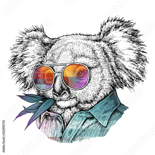 Hand drawn portrait of Koala bear in glasses. Vector illustration isolated on white