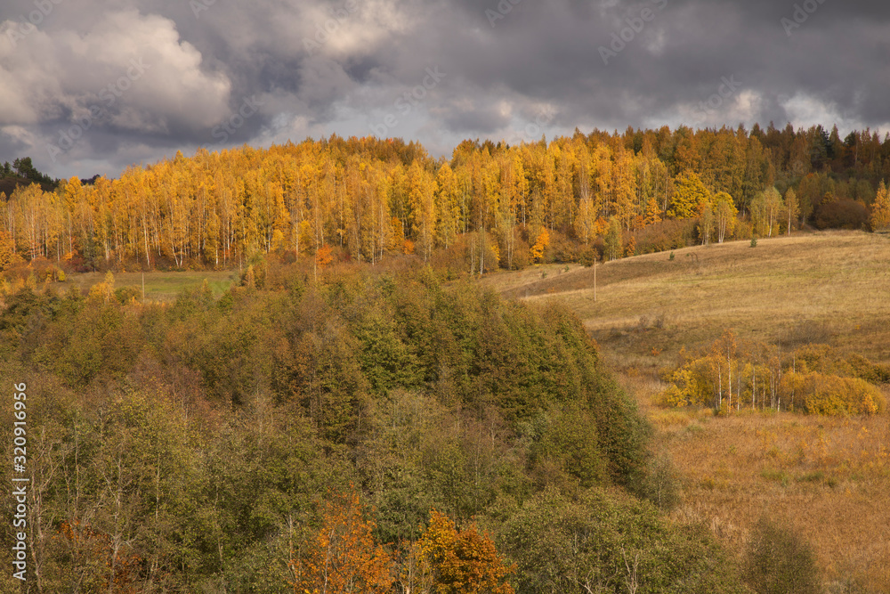 Autumn landscape near Izborsk city. Russia
