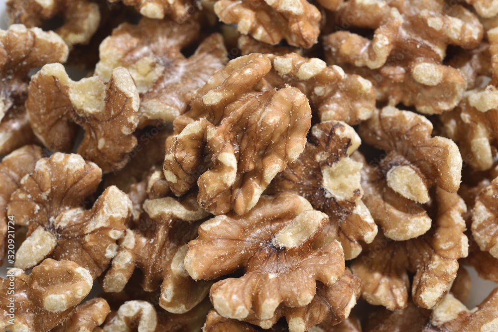 the portrait of nuts the portrait of nuts
