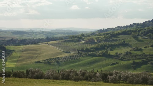 Picturesque Tuscany rural landscape with green hills, cypress trees, vineyards