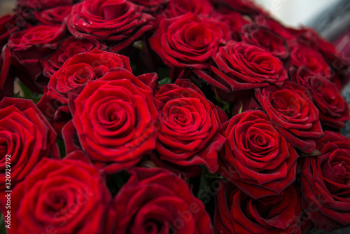 Red roses background. Bouquet for Valentine s Day. Close-up of a beautiful bouquet of red roses.