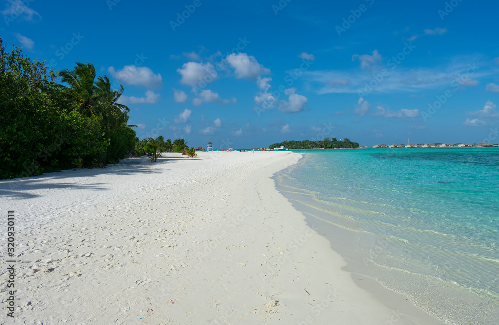 Maldive, north Male atoll - December 28 2019 - The wonderful nature of the Maldives Maldive, north Male atoll - December 28 2019 - The wonderful nature of the Maldives