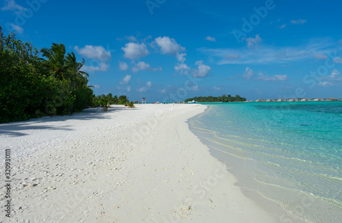 Fototapeta Naklejka Na Ścianę i Meble -  Maldive, north Male atoll - December 28 2019 - The wonderful nature of the Maldives