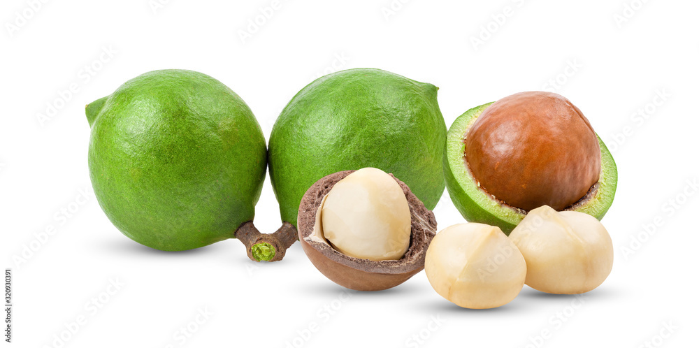 macadamia nuts on white background. full depth of field macadamia nuts on white background. full depth of field