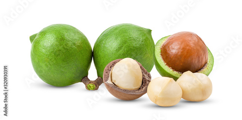 macadamia nuts  on white background. full depth of field
