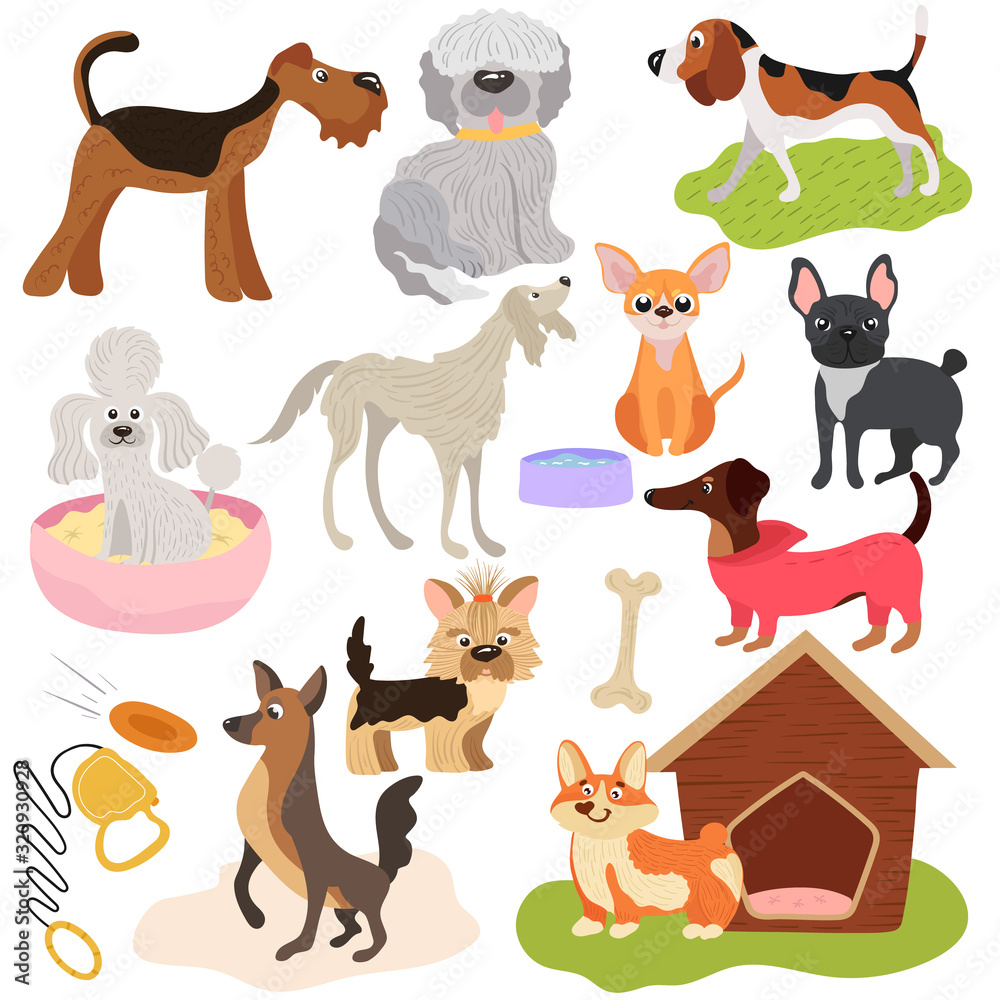 Obraz premium Dogs of different breeds, puppy set cute pets, vector illustration. Funny animals cartoon characters, playful puppy, toys and accessories for domestic pet. Various dogs, hound and terrier.