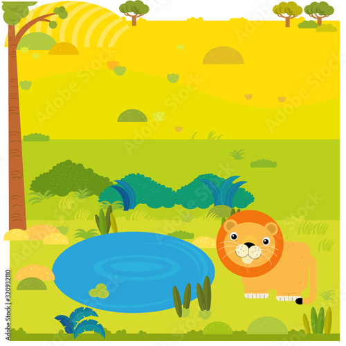 cartoon safari scene with wild animal lion on the meadow illustration