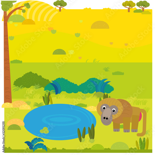 cartoon safari scene with wild animal baboon on the meadow illustration