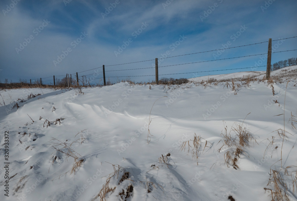 winter fence line