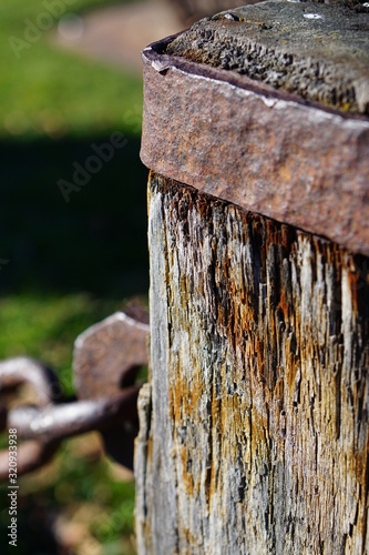 wood, old, door, wooden, tree, birdhouse, lock, rusty, house, bird, texture, fence, brown, padlock, weathered, rust, nest, post, box, gate, detail, vintage, home, green, wall