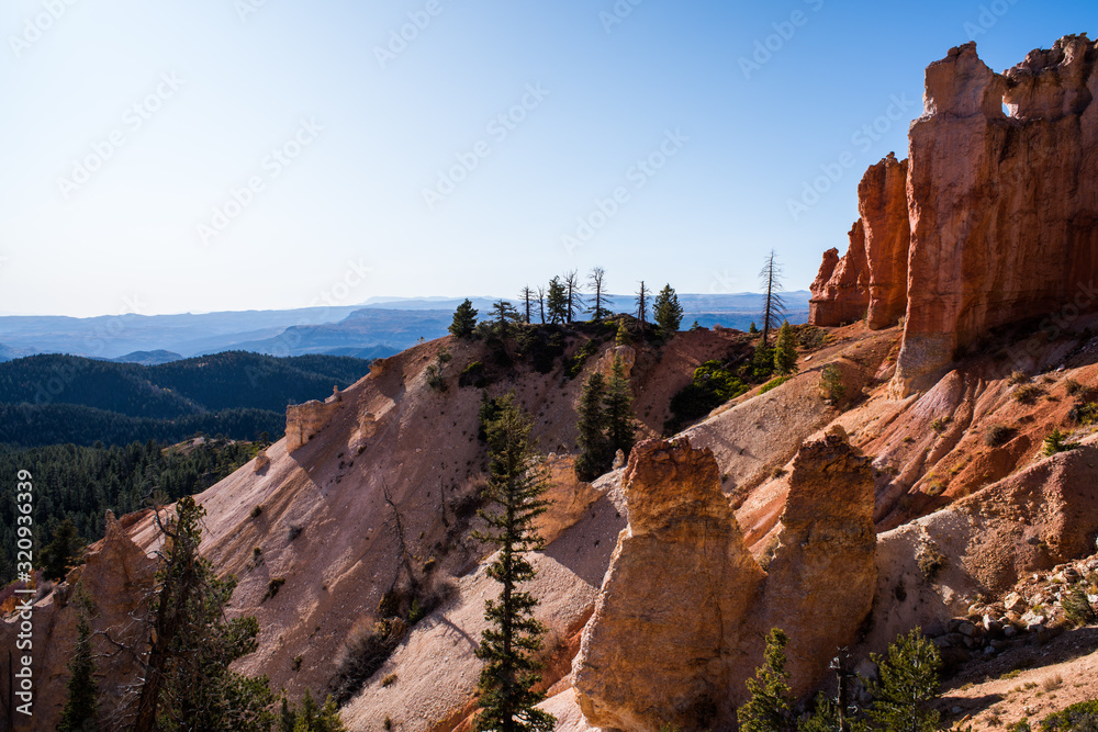 Pines among giant colorful sandstone formations in Southern Utah
