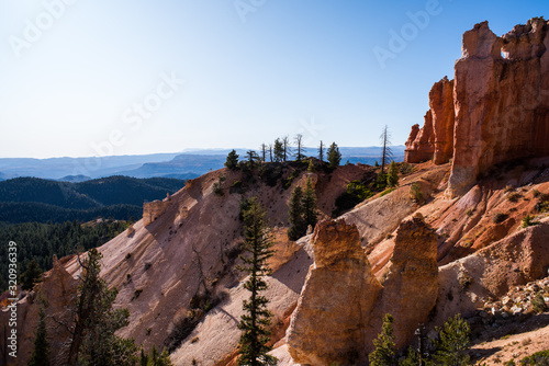 Pines among giant colorful sandstone formations in Southern Utah photo