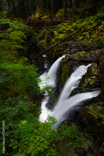 Silky white waterfalls in the lush  green forest of Olympic National Park