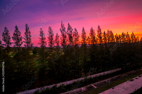 The natural blurred background of the twilight light of the evening in the sky in the pine trees or mountains, the beauty of the weather during the day.