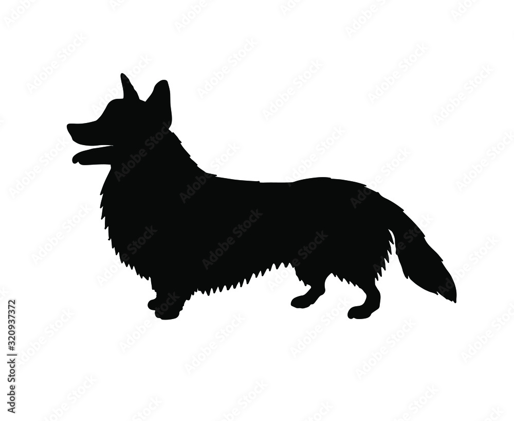 Vector black corgi dog silhouette isolated on white background