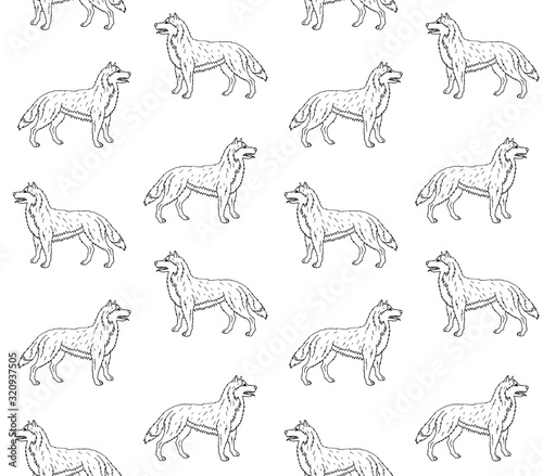 Vector seamless pattern of hand drawn doodle sketch husky dog isolated on white background