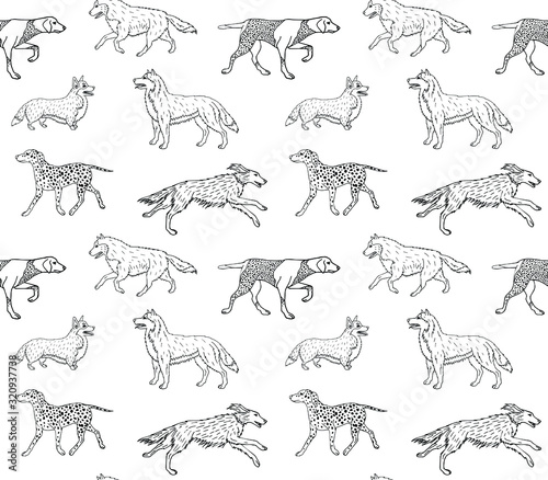 Vector seamless pattern of hand drawn doodle sketch different dogs isolated on white background