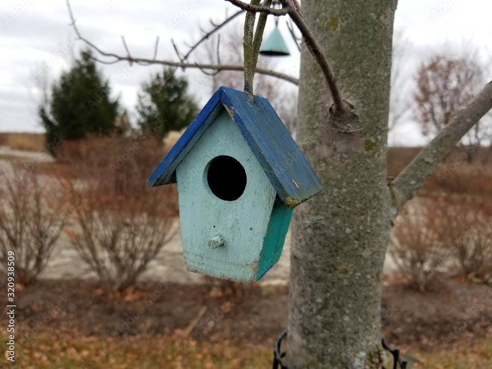Cute tiny blue birdhouse hanging from tree branch in outdoor area