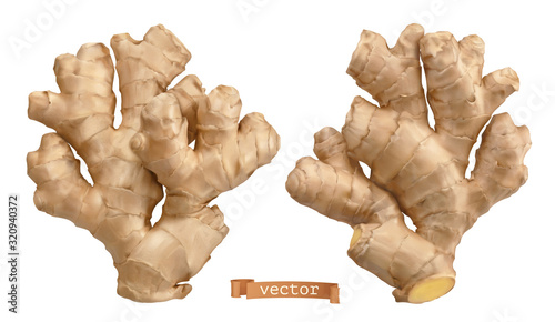 Fotografia, Obraz Ginger root. 3d realistic vector objects
