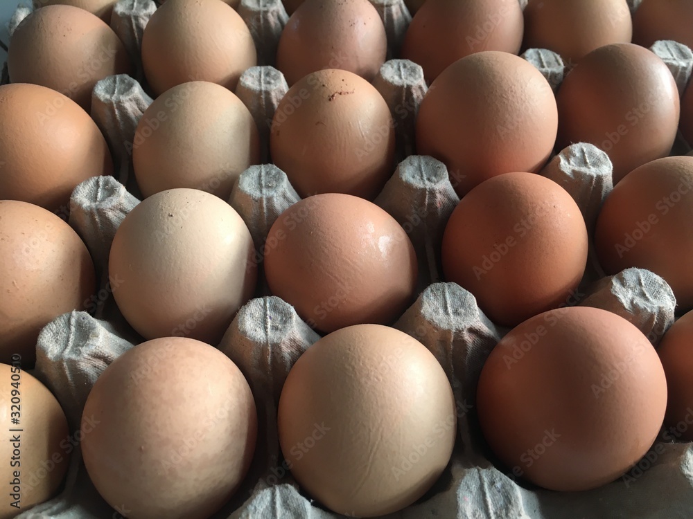 eggs in box eggs in box