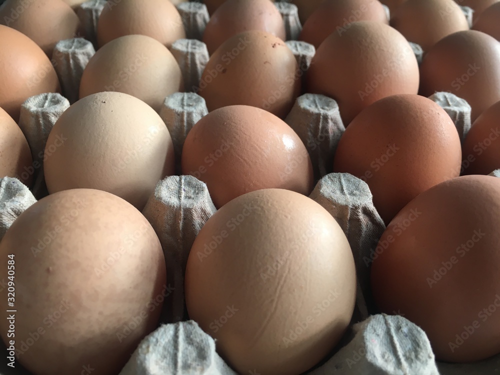 eggs in a box eggs in a box
