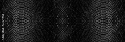 Snake skin texture closeup background. Panoramic web banner with copy space background