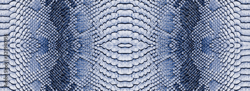 Snake skin texture closeup background. Panoramic web banner with copy space background