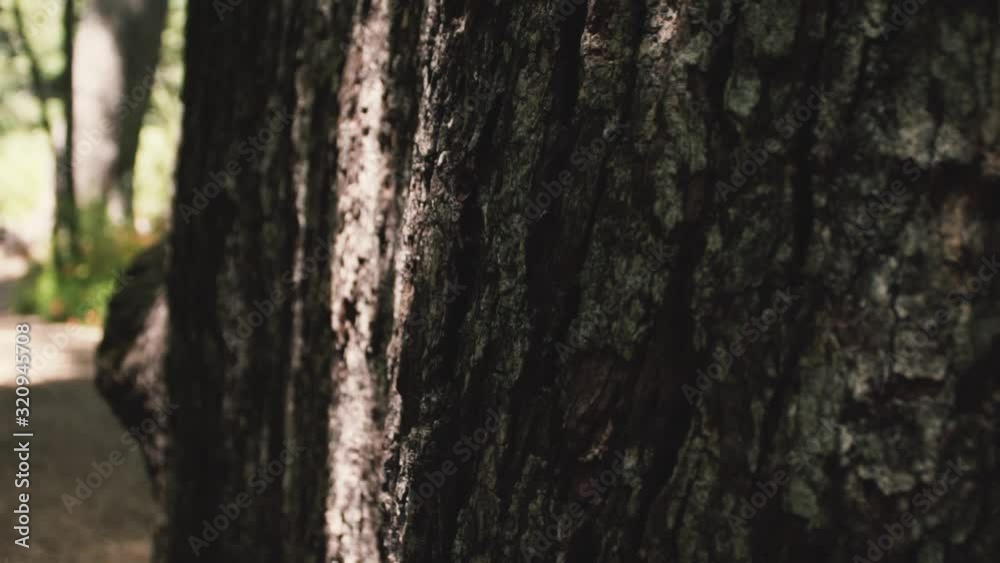 Sliding movement in the nature to be used as transition Sliding movement in the nature to be used as transition