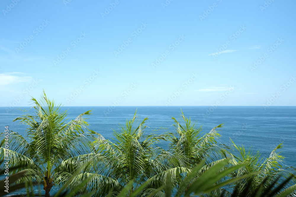 Oceanview and green palm leaf