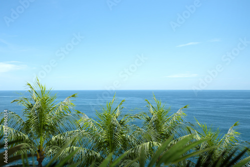Oceanview and green palm leaf
