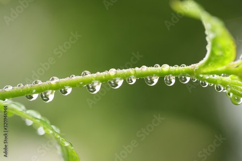 droplets