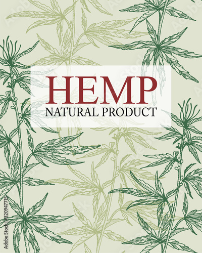 Poster of hemp plant leaves, branch and seeds. Natural product. Ink sketch of cannabis. Hand drawn graphic design.