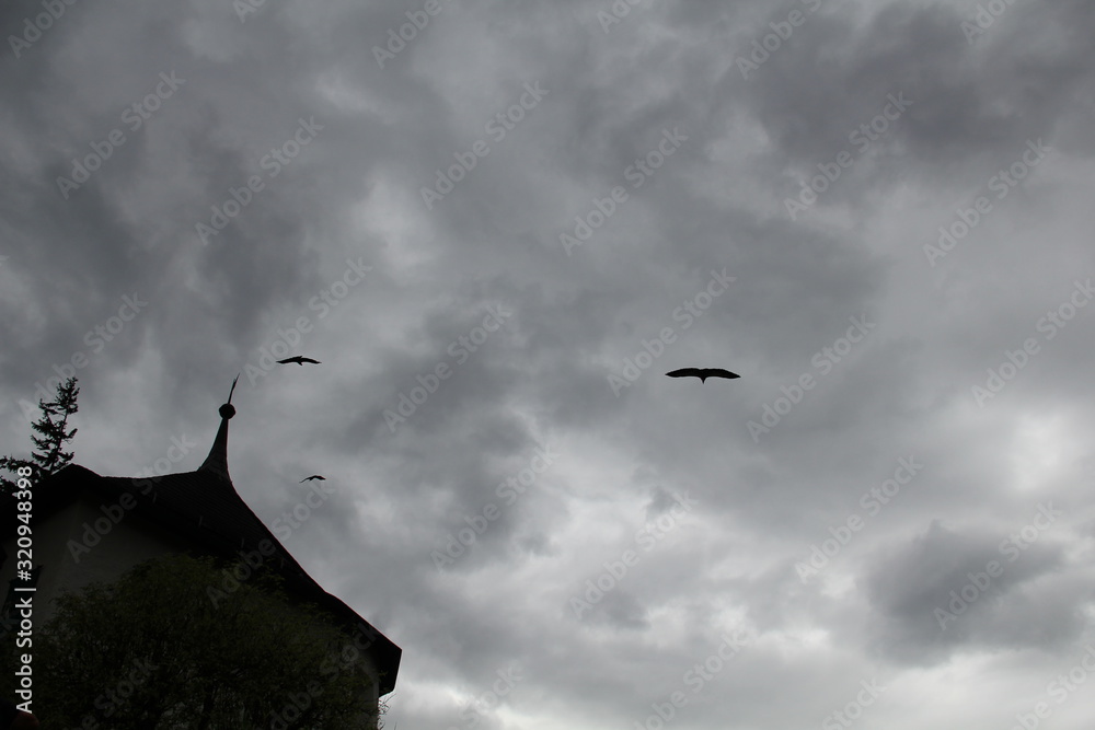 flying in sky with clouds and sun flying in sky with clouds and sun