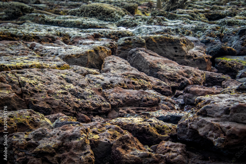 black rocks on the beach