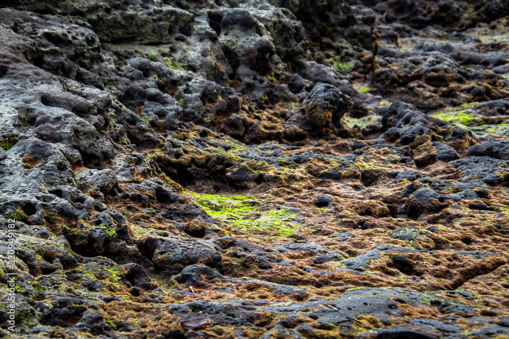 Fototapeta premium black rocks on the beach