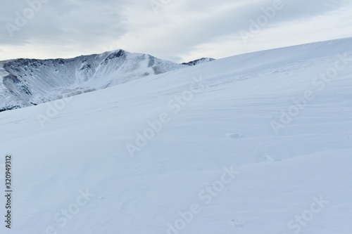 A Snowy Scene