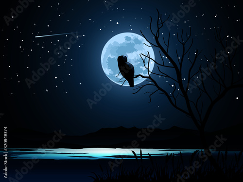 Owl on the moon